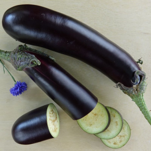 Aubergine De Barbentane
