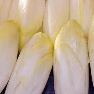 Brussels Chicory