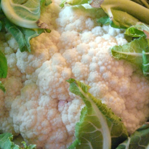 Chou Fleur Neckarperle