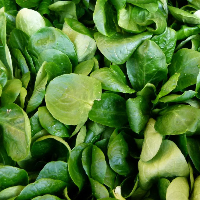 Mâche Verte à Cœur Plein 2