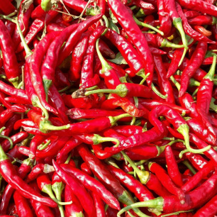 Peper de Cayenne