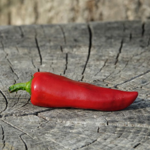 Peper Gorria (d'Espelette)