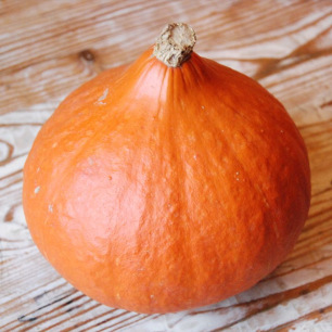 Red Kuri Squash