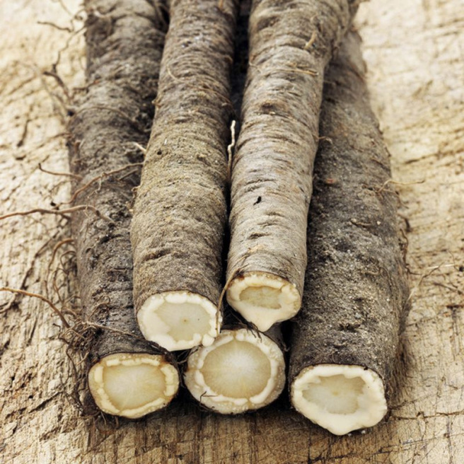 Hoffmann’s Black Salsify