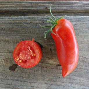 Tomate Andine Cornue