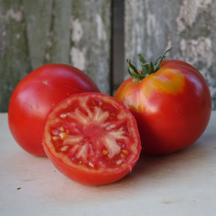 Tomate de Marcel