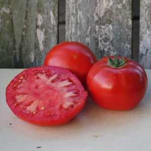 Tomate Merveille des Marchés
