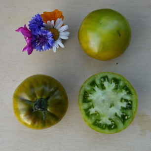 Tomate Verte de Huy
