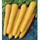 Carotte Yellow Belgian