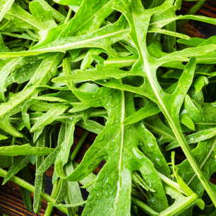 Wilde rucola