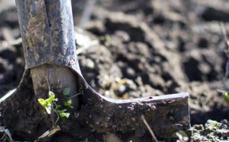 Préparer son potager pour l'hiver