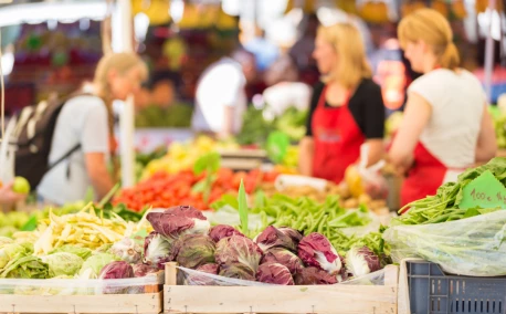Des plantes sauvages aux légumes d’aujourd’hui