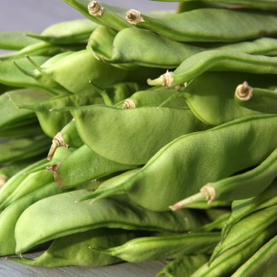 Pole Snap Bean Helda