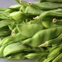 Haricot à Rame Mangetout Helda