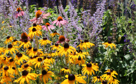 Biodiversité au jardin : pourquoi l’automne est une saison clé