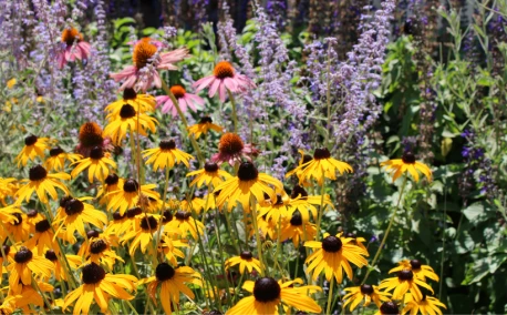 Biodiversité au jardin : pourquoi l’automne est une saison clé