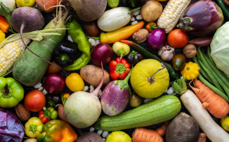Des plantes sauvages aux légumes d’aujourd’hui