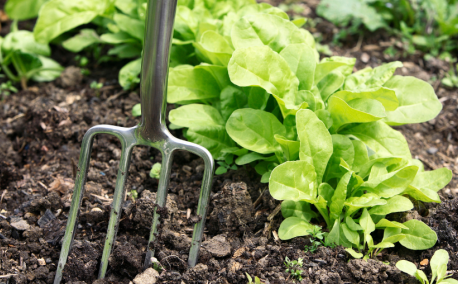 De moestuin voorbereiden op de winter