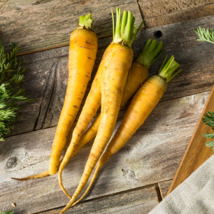 Yellow Belgian Carrot
