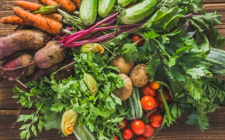 Le retour des variétés locales : pourquoi elles séduisent à nouveau