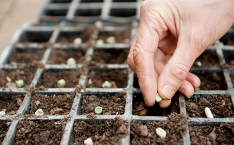 It’s almost time to start your first sowings