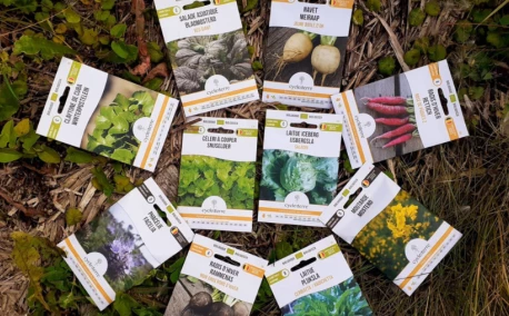 Januari in de moestuin