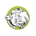 Légumes-feuilles